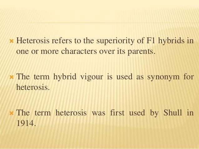 heterosis brinjal